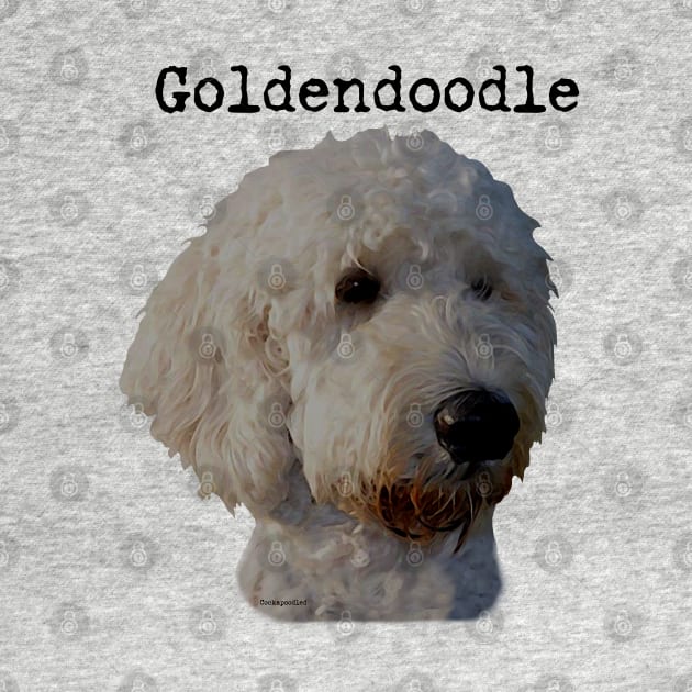 Blonde Goldendoodle Dog by WoofnDoodle 